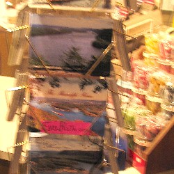 click here to see a full-sized photo